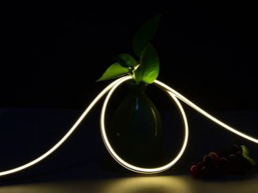  Tira LED neón flex 